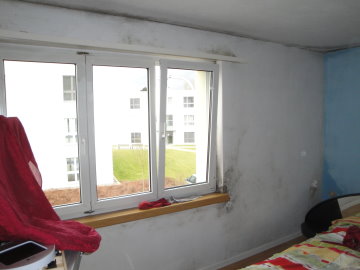 Schimmelbefall im Schlafzimmer